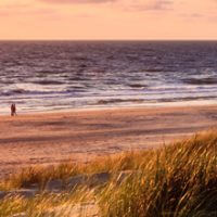 putting lives in danger