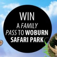 'Draw your Family' competition