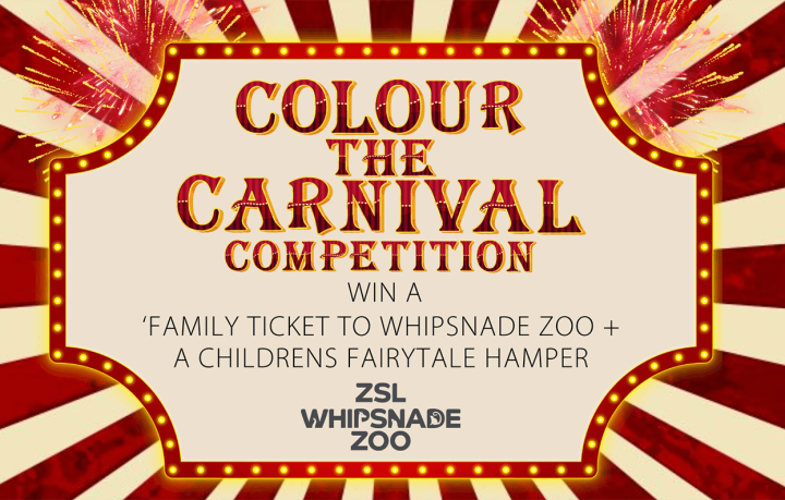 Colour the Carnival Competition