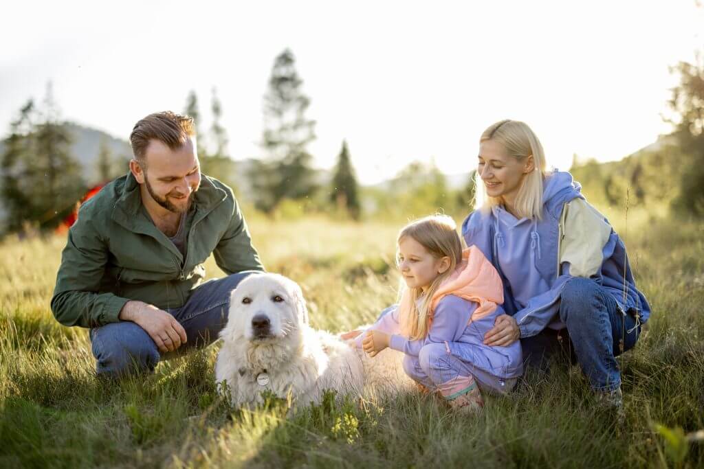 Pets included in your Will